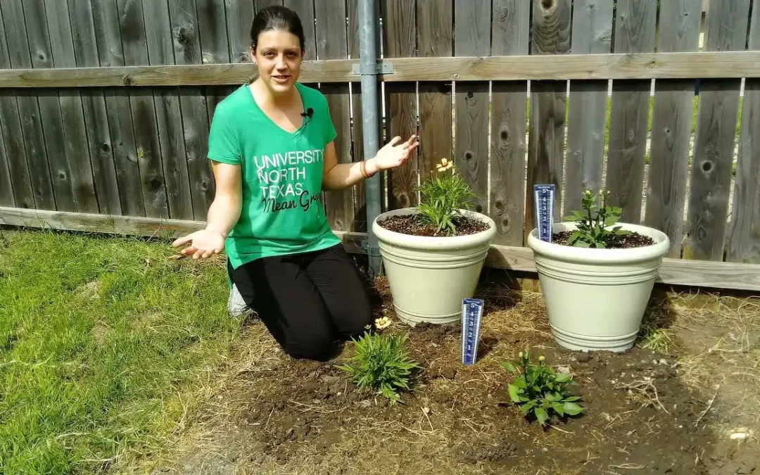 Comparing Water Use of Native Plants vs. Non-Native Plants – Student Lesson Video