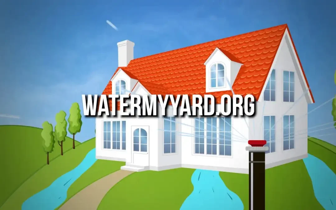 How Long Should I Water My Yard?