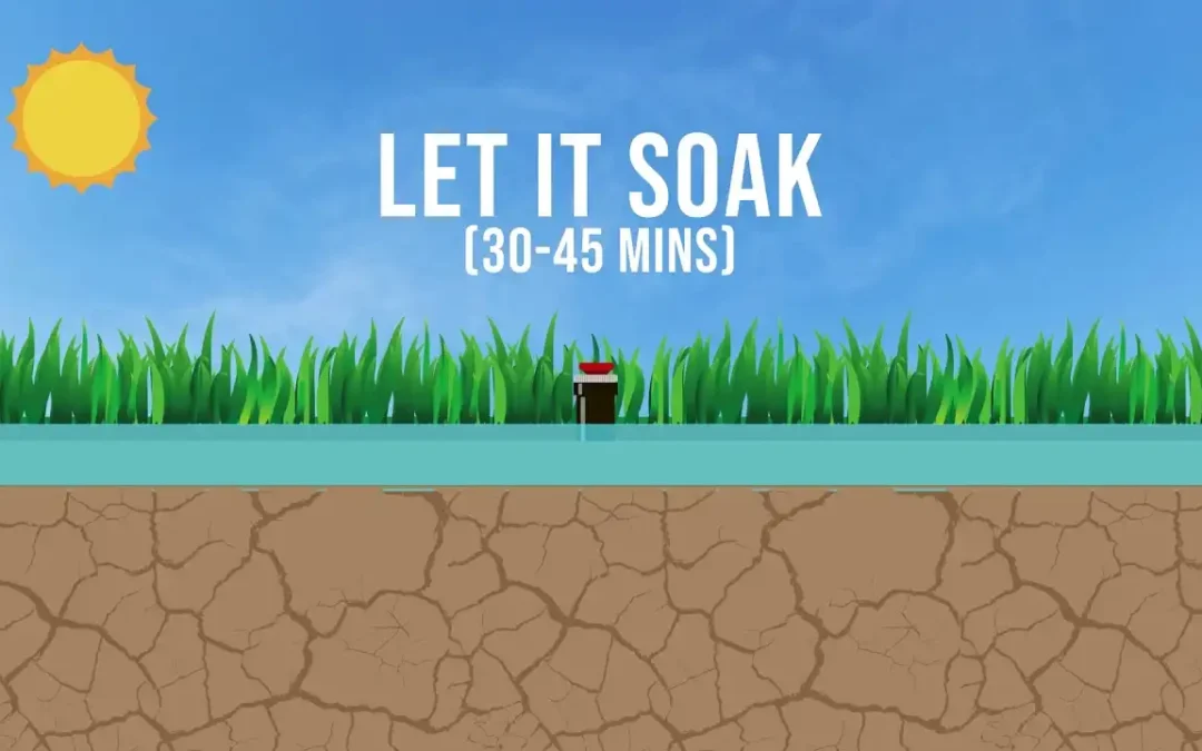 Cycle and Soak to Save Water on Your Lawn