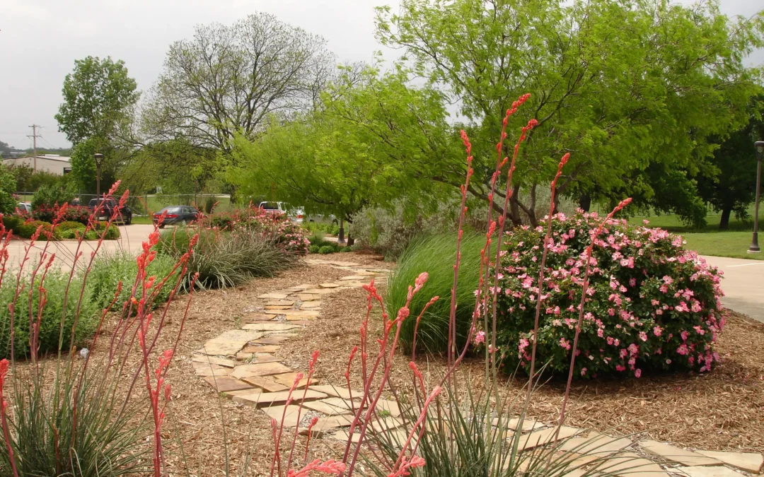 Classes to Help Create Sustainable Landscapes