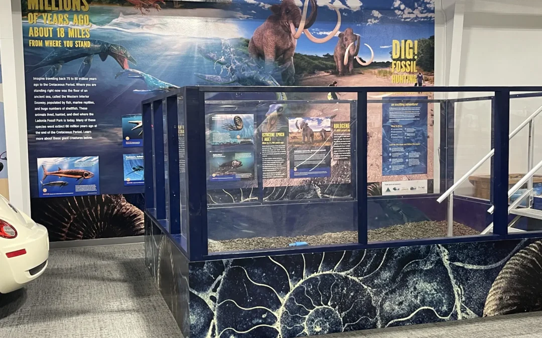 Children’s Museum to Celebrate New Fossil Dig Exhibit