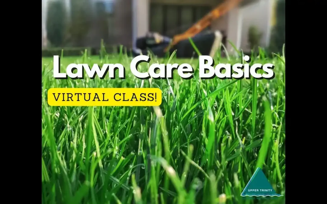 Lawn Care Basics for North Texas