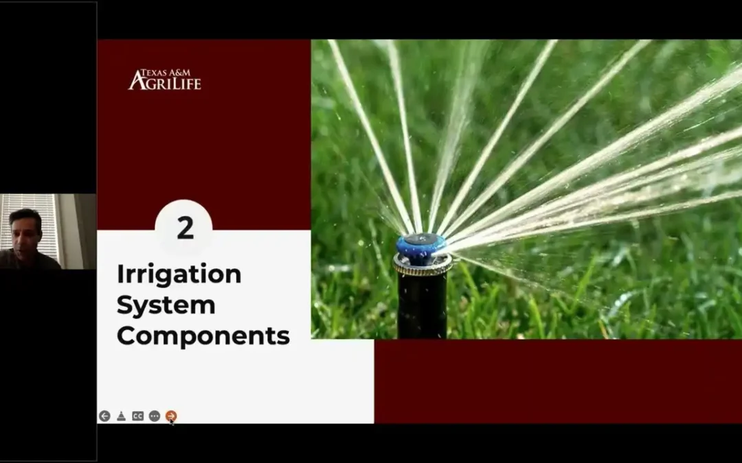 How to Check My Sprinkler System Virtual Class