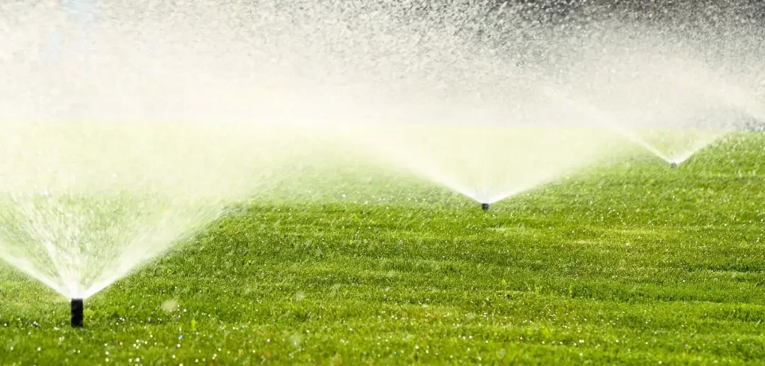 New Homeowner Water Conservation Brochure