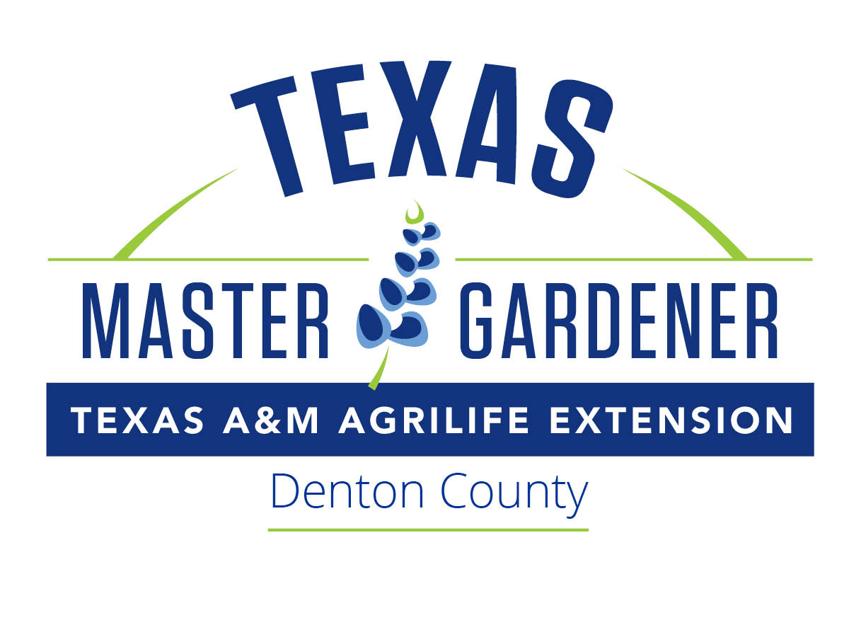 Texas Master Gardener logo for Denton County, Texas A&M AgriLife Extension, featuring blue text, green arc accents, and a plant motif.